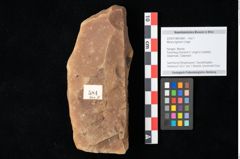 Foto (Objekt + Etikett) von Myrica lignitum Unger (NHMW-GEO-2024-0188-0584)